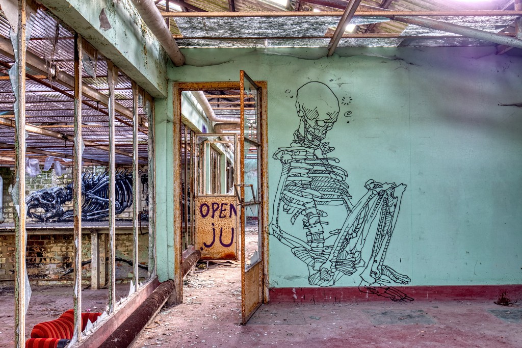 HDR graffiti streetart street-art street art skeleton factory urbex roa klaas van der linden kunst kunstwerk decay verlaten lost place places abandoned